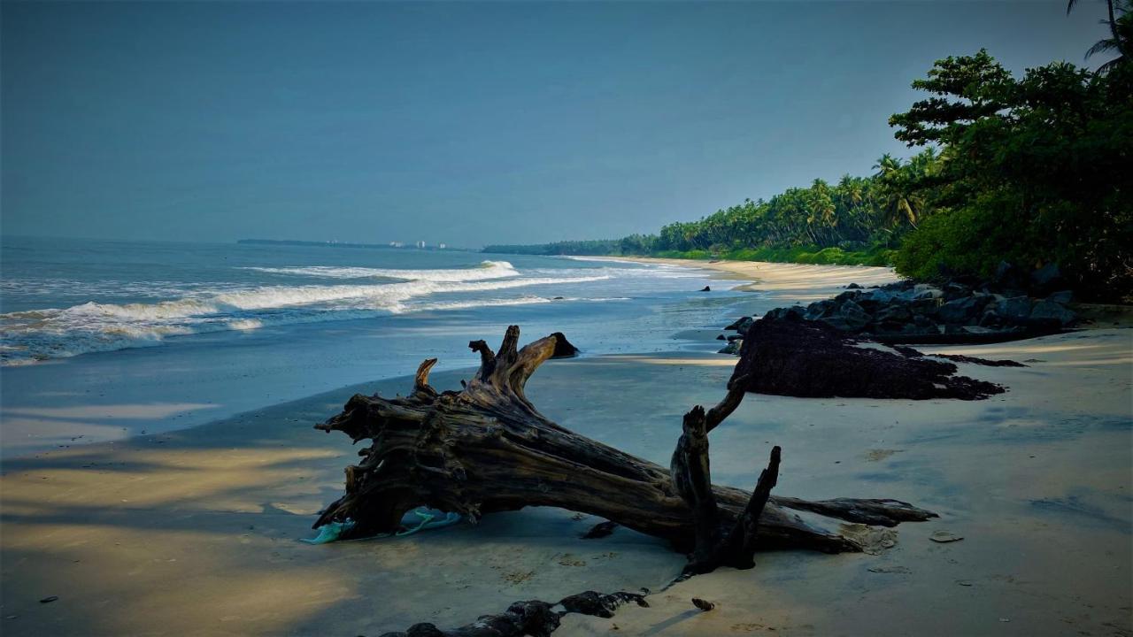 White Shell Beach House Kannur Eksteriør billede